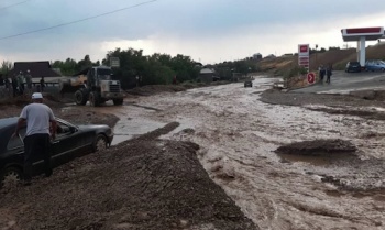 От селя в Сузакском районе пострадали 446 жилых домов