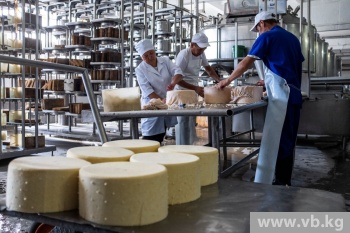 Фермеры Иссык-Куля будут работать с местной компанией по переработке молока