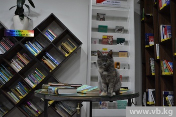 "Дем" - необычная библиотека Каракола, где всегда рады новым книгам