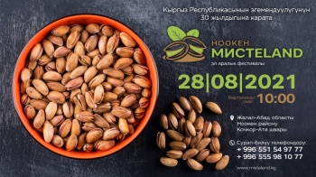 В КР пройдет международный фестиваль "Ноокен - родина фисташек"