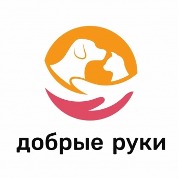 "Добрые руки" предлагают бишкекчанам взять себе одного из питомцев фонда