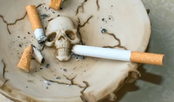 © Fotolia / nuklein