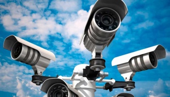 В "Вега Оперейтинг Компани" ответили на призывы остановить работу компании