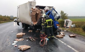 В аварии в Тульской области погибли два гражданина Кыргызстана