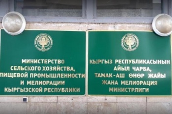 Минсельхоз намерен разводить высокопродуктивных животных