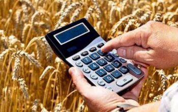 В Кыргызстане частная компания начала оказывать поддержку фермерам