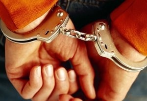 В Чуйской области милиция задержала похитителей невесты
