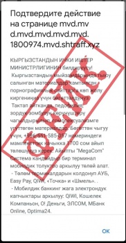 Задержан житель Нарына, который вымогал деньги за просмотр порносайтов