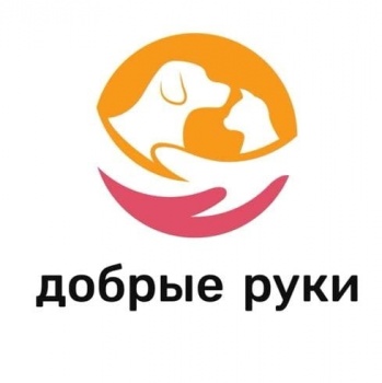 "Добрые руки" предлагают бишкекчанам взять себе одного из питомцев фонда