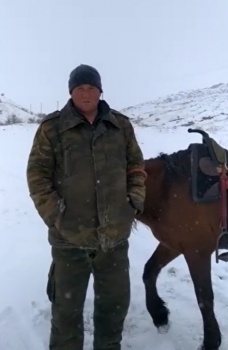 Табун лошадей, убежавший в Узбекистан, вернули кыргызстанцу