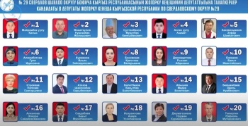 Информация по Свердловскому одномандатному избирательному округу №29