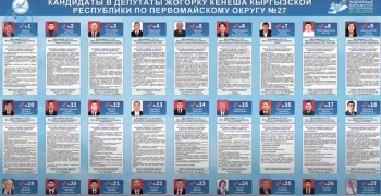 Информация по Первомайскому одномандатному избирательному округу №27