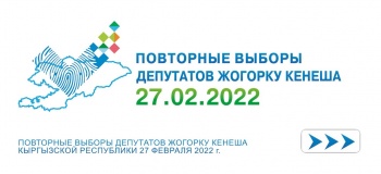 Лидеры ручного подсчета голосов на повторных выборах в ЖК