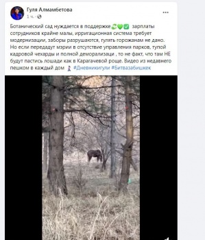В Карагачевой роще пасутся лошади