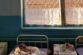 За незаконные действия снята с должности директор психиатрической больницы