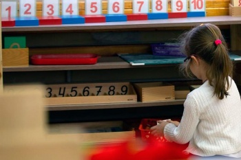 После избиения 5-летнего ребенка в Кыргызстане проверят все частные сады
