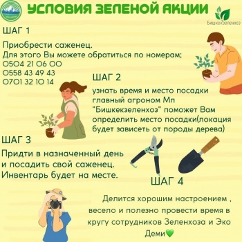 Любой желающий сможет  посадить своё дерево в Бишкеке