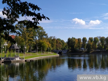 Лес в черте города поглощает больше углерода, чем далекий от цивилизации