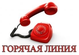 В каждом районе Бишкека действуют горячие линии по делам детей