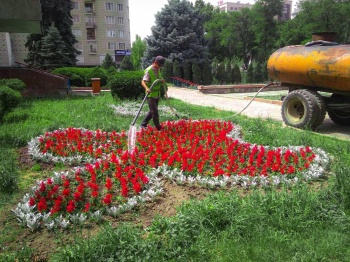 Муниципальное предприятие "Бишкекзеленхоз" ищет сезонных работников