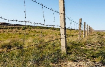 Тяга к знаниям студента сгубила