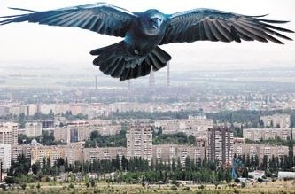 Мафия застройщиков показала свои лица
