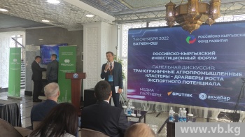 Бизнесу РФ рассказали о преимуществах работы в Кыргызстане