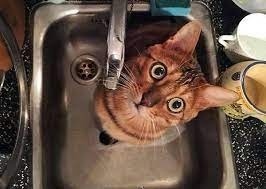 18 октября в некоторых районах столицы не будет воды