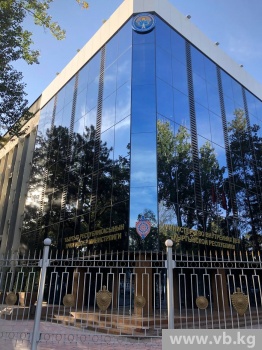 В КР проведены оперативно-профилактические мероприятия "Нелегал-Кордон"