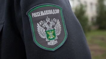 Россельхознадзор не допустил ввоз продукции из Кыргызстана