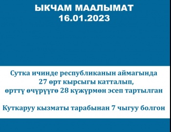 За минувшие сутки в Кыргызстане произошло 27 пожаров
