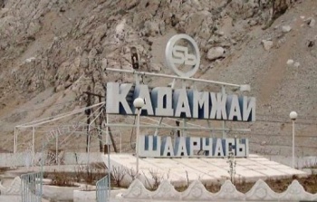 В Кадамжае начато расследование по факту незаконной передачи 9,8 га земли