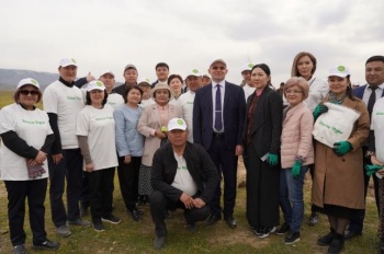 В Баткенской области началась посадка более 25 тысяч саженцев миндаля