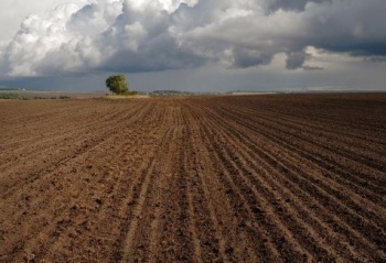 В Васильевском айыл окмоту орошаемая пашня возвращена государству