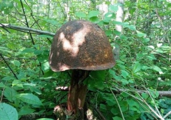 Поисковики ищут родных красноармейца Таштана Мукамбетова из Ичке-Жергеза