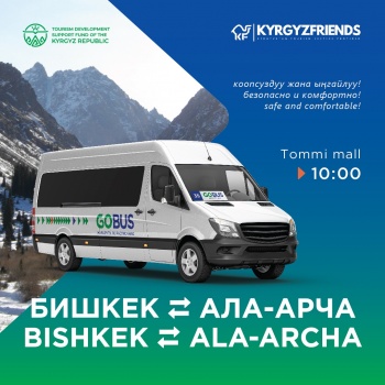 Добраться до Ала-Арчи теперь легко. GoBus запускает новое направление