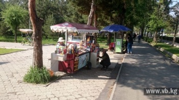 Теперь в парках Бишкека можно арендовать места