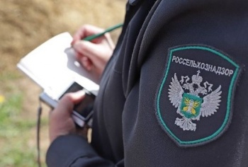 Россельхознадзор начал инспектировать молочные предприятия в Кыргызстане