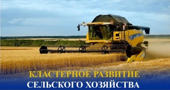 Глава Минсельхоза КР: Некоторые фермеры не понимают всей выгоды кластеров