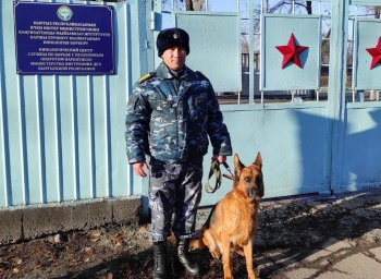 Фото: МВД
