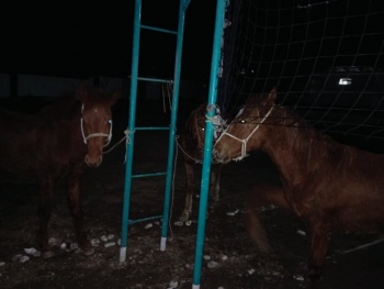 Фото: Погранслужба КР