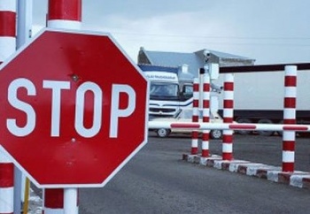 Ужесточается контроль при ввозе в Кыргызстан саженцев и семян