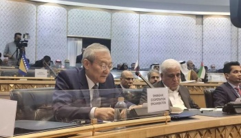 Чжан Мин высказал общую позицию стран ШОС по проблеме Палестины