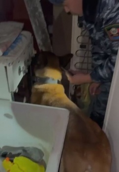 скриншот из видео ГУВД