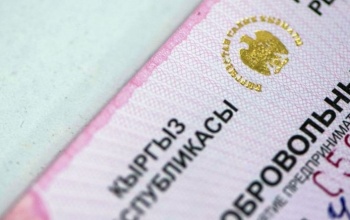 иллюстративное фото