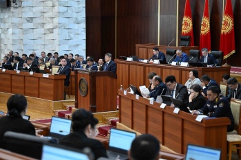 В Кыргызстане круглым сиротам будут выплачиваться по 500 тысяч сомов