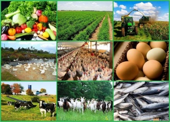Какую сельскохозяйственную продукцию Кыргызстан экспортирует в Китай?