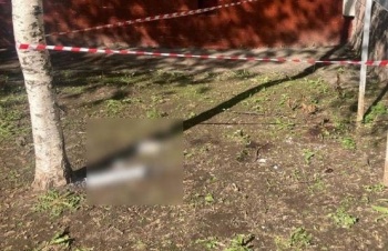 В Москве трехлетний ребенок выпал из окна 12-го этажа и выжил