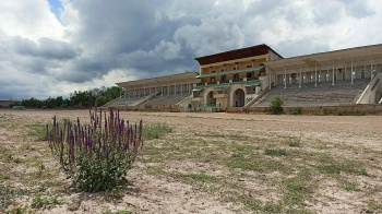 Ипподром "Ак-Кула" в Бишкеке планируют передать двум компаниям