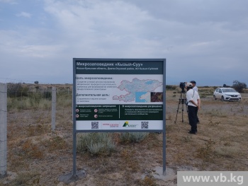 New micro-reserve Kyzyl-Suu: an initiative to protect nature and heritage